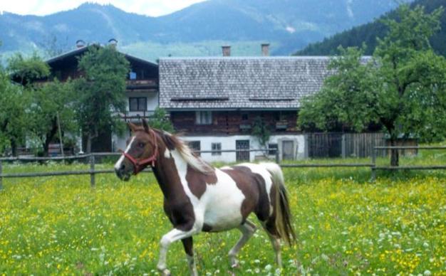 Jugendgaestehaus Gosauschmied Екстериор снимка